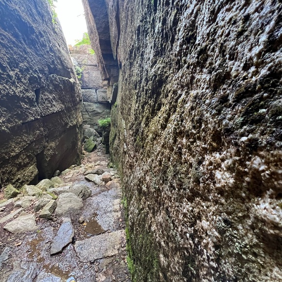 Meet your Posher, Diana. Welcome to my closet! - Picture 7 of 15